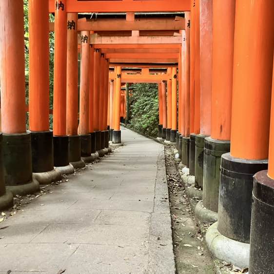 🇺🇸⛰️Alaskan Traveler⛰️🇺🇸 post 1