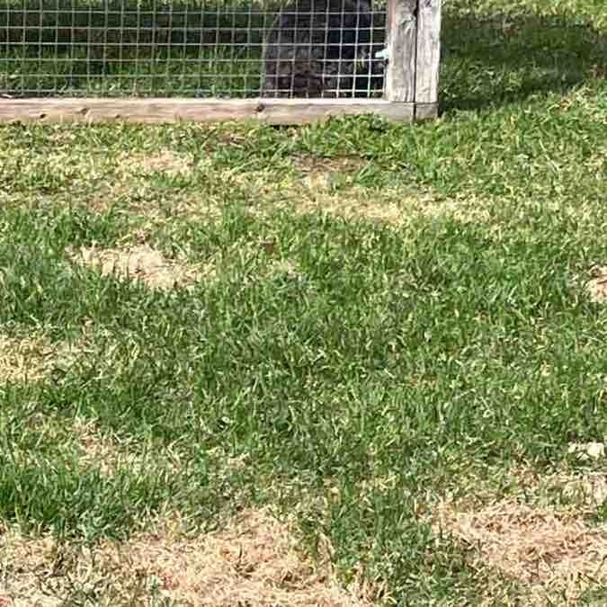 🇺🇸⛰️Alaskan Traveler⛰️🇺🇸 post 1