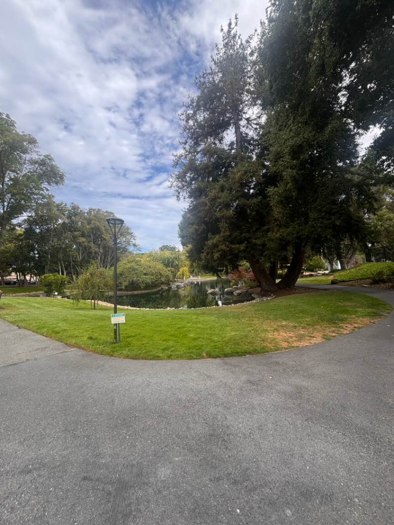 walking near me in Martin Luther King Park in summer