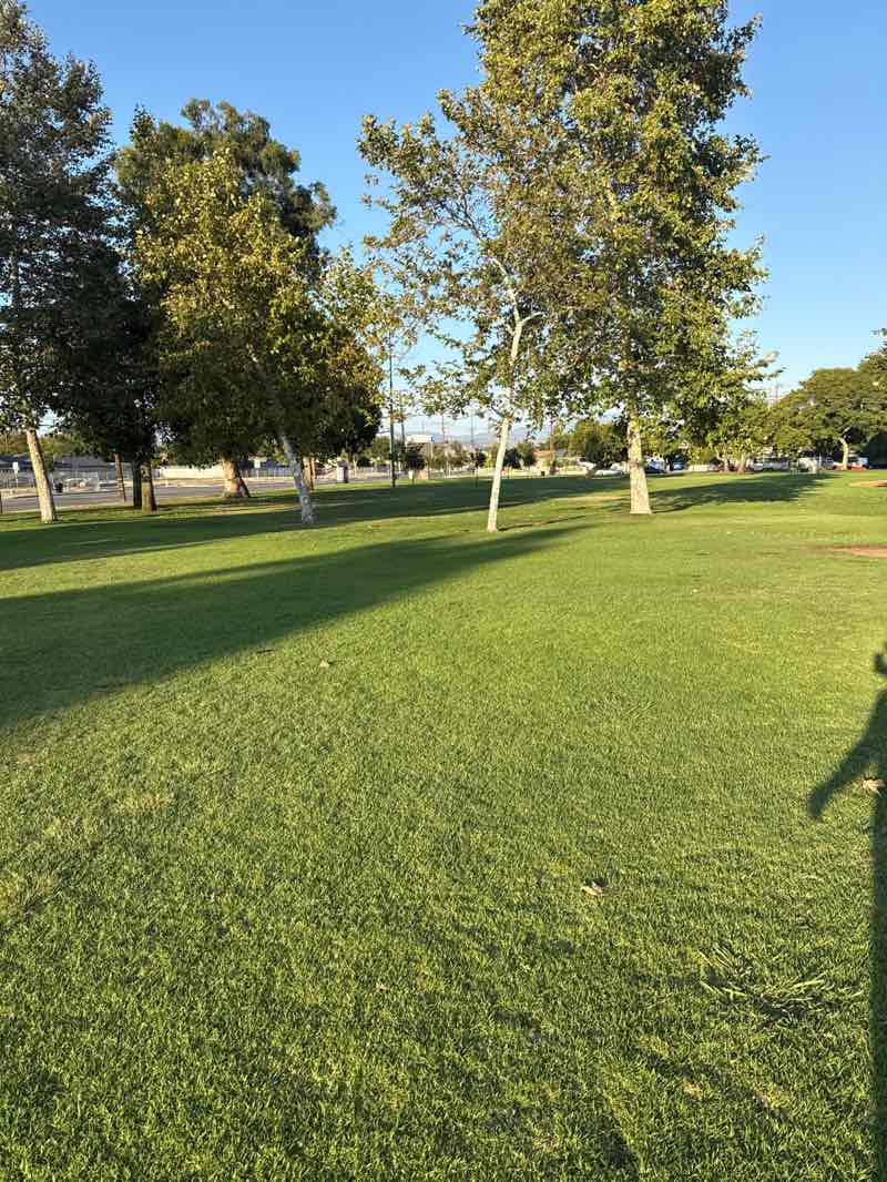 walking near me in Delhi Park in autumn