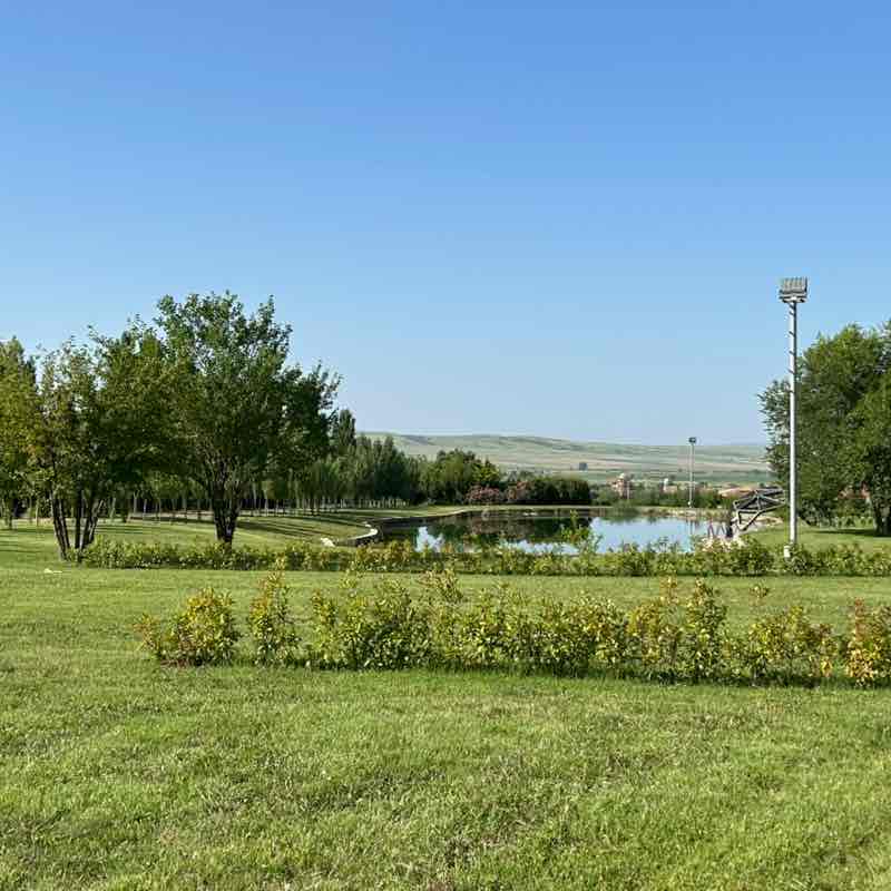 Alexander Avazashvili post 2