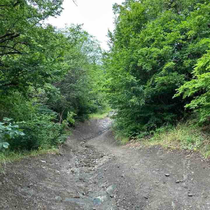 Alexander Avazashvili post 3