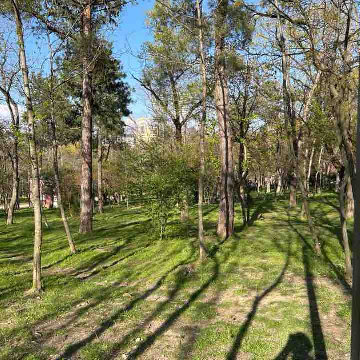 Alexander Avazashvili post 1