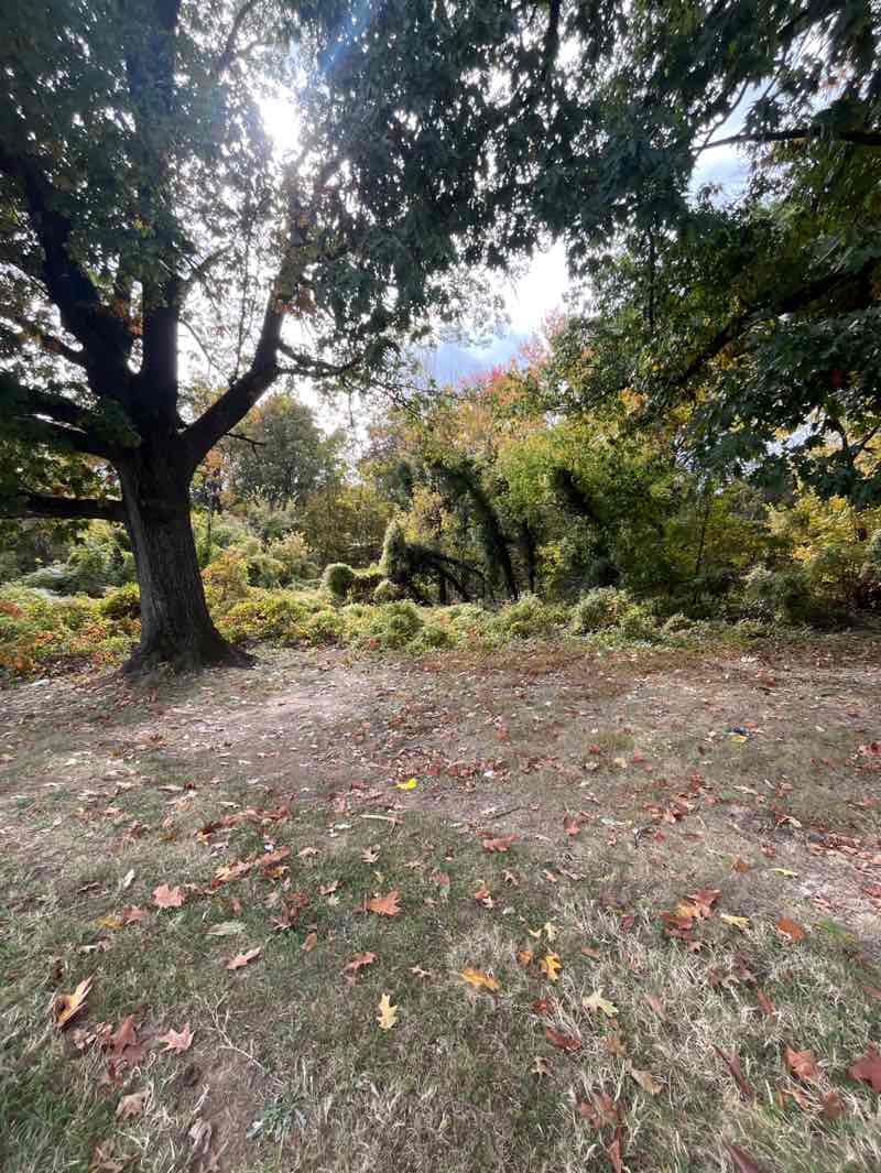 walking near me in Herring Run Park in autumn