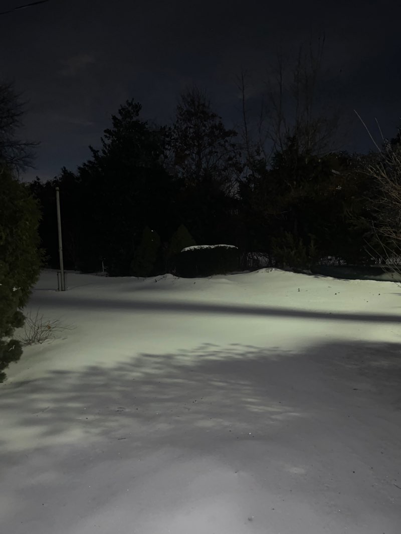 walking near me in Pickman-Rimmer State Tidal Wetland in winter