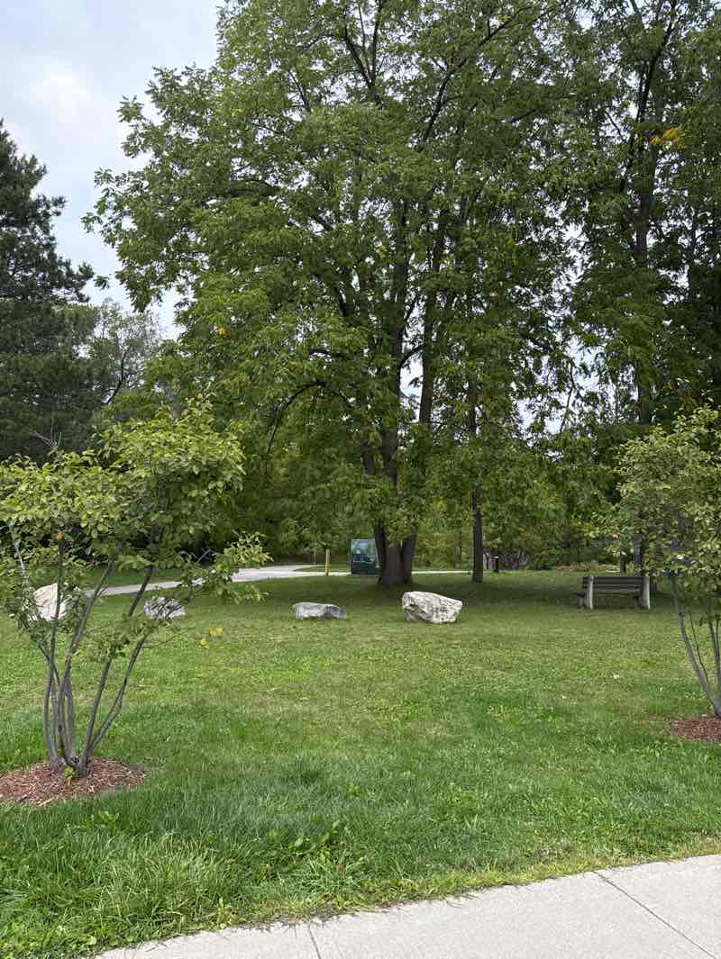 walking near me in Goldie Mill Park in autumn