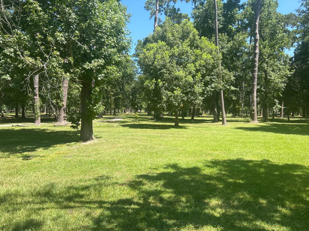 walking near me in Wuthering Heights Park in autumn