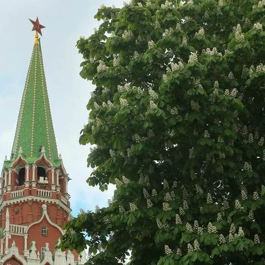 Rita🇷🇺🕊️ post 2