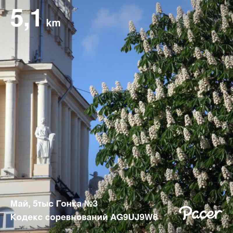 Rita🇷🇺🕊️ post 1
