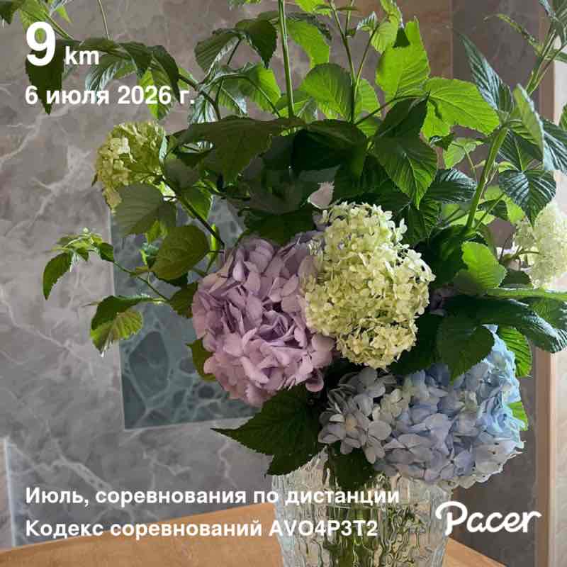 Rita🇷🇺🕊️ post 1