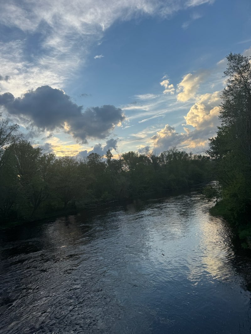 walking near me in Danford Island Park in spring