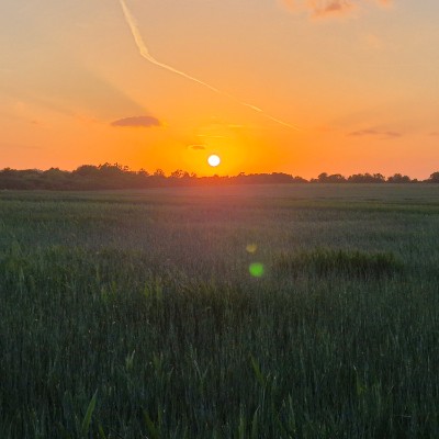 Aletheia Academies Trust Kirsty W post image