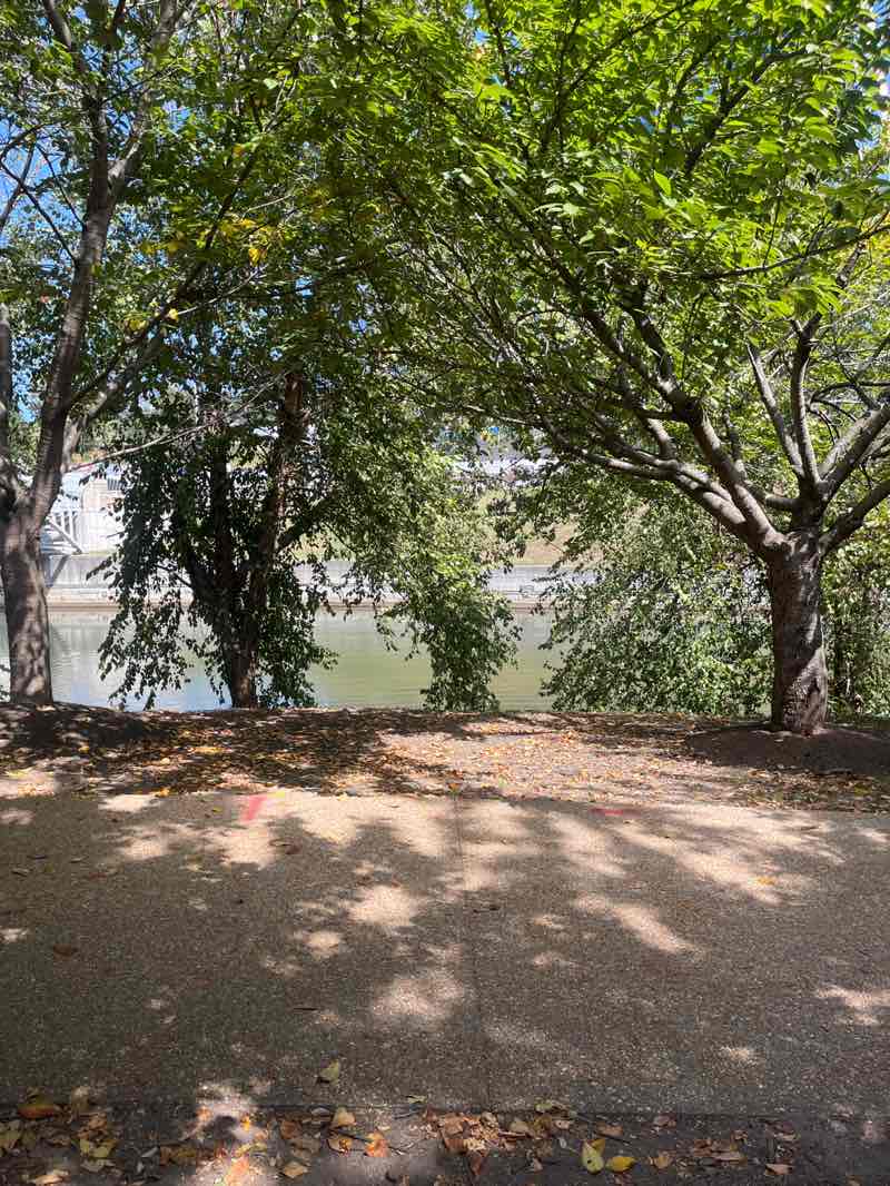 walking near me in Brown's Island in autumn