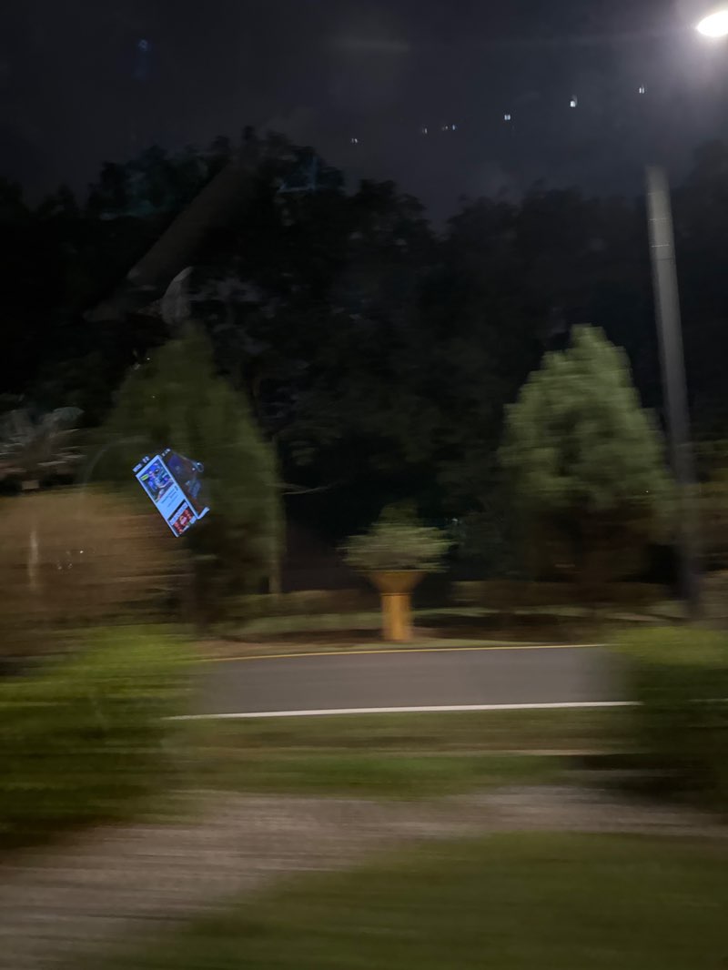 walking near me in Orchid Park in autumn