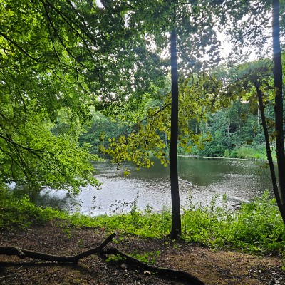 Merck CaSE North Georgina post image