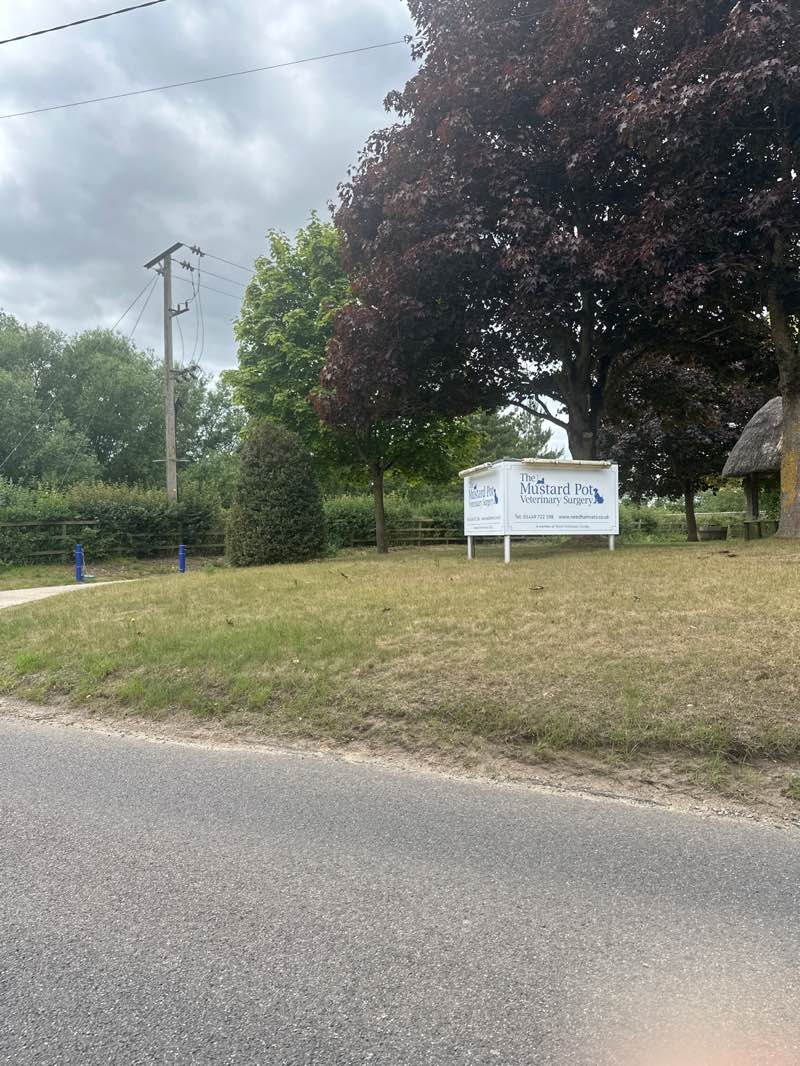 walking near me in Needham Lake in summer