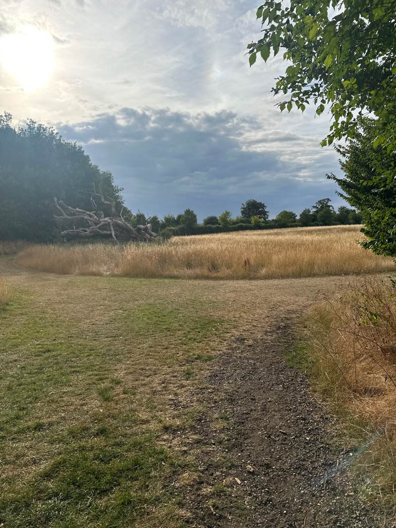 walking near me in Ten Acre Field in autumn