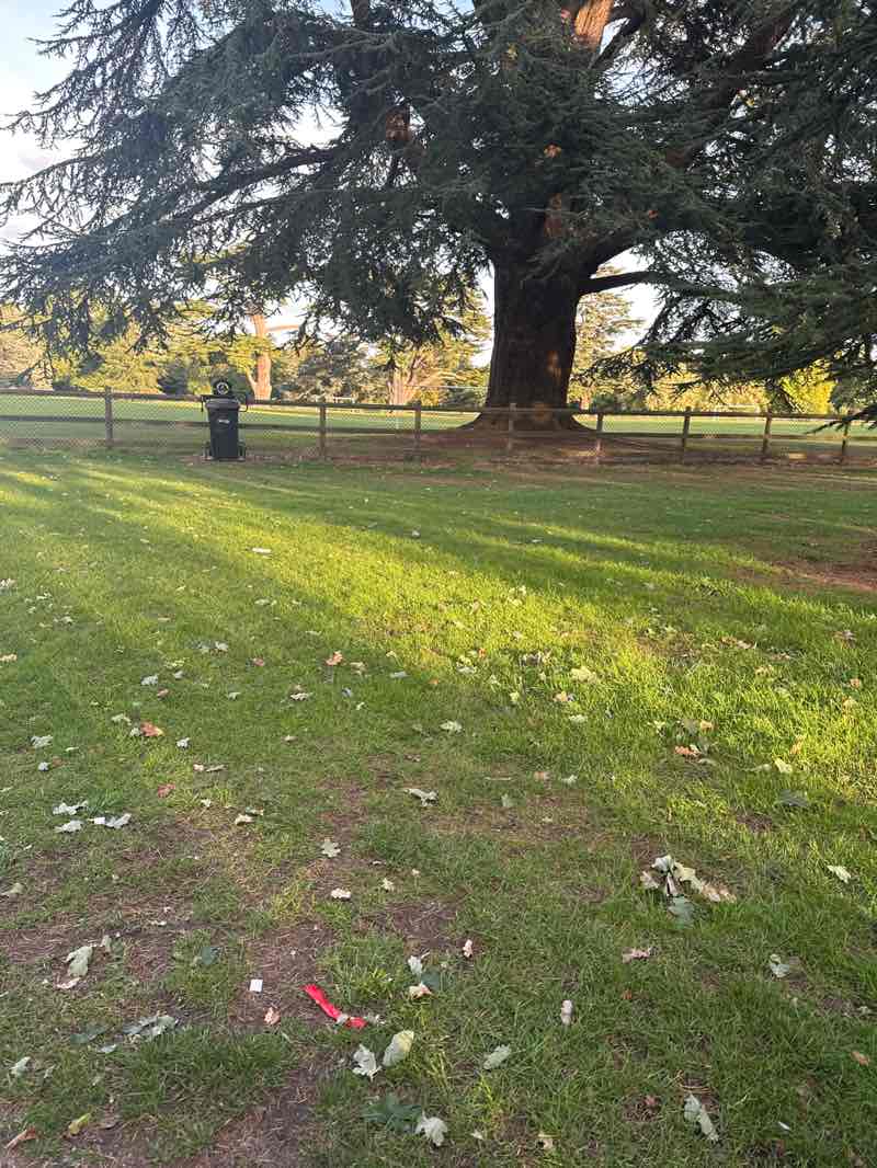 walking near me in Hardwick Heath in autumn