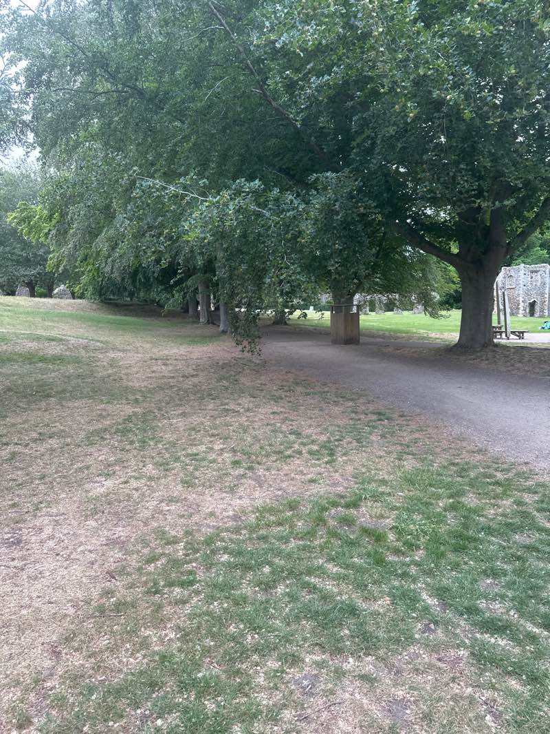 walking near me in Abbey Gardens in summer