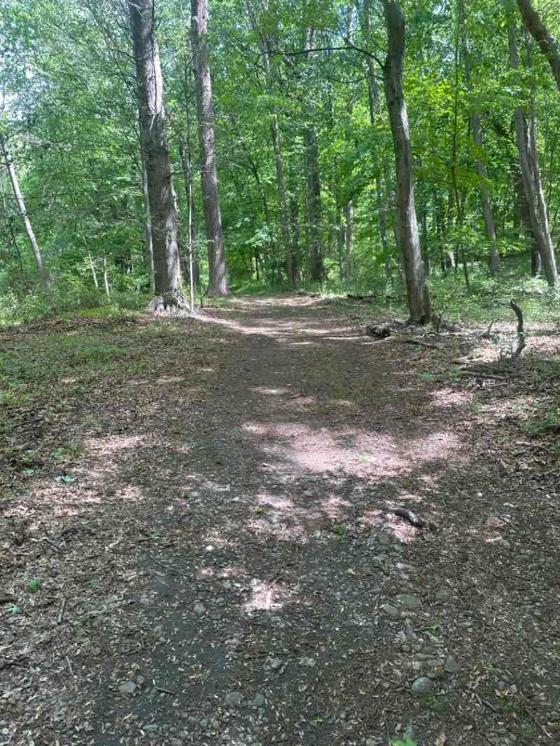 walking near me in Riverside Park in spring