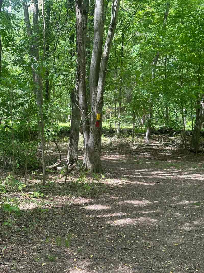 walking near me in Springer Glen in spring