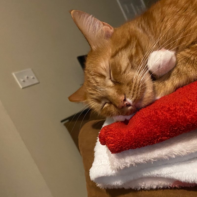 Katherine Bocanegra profile