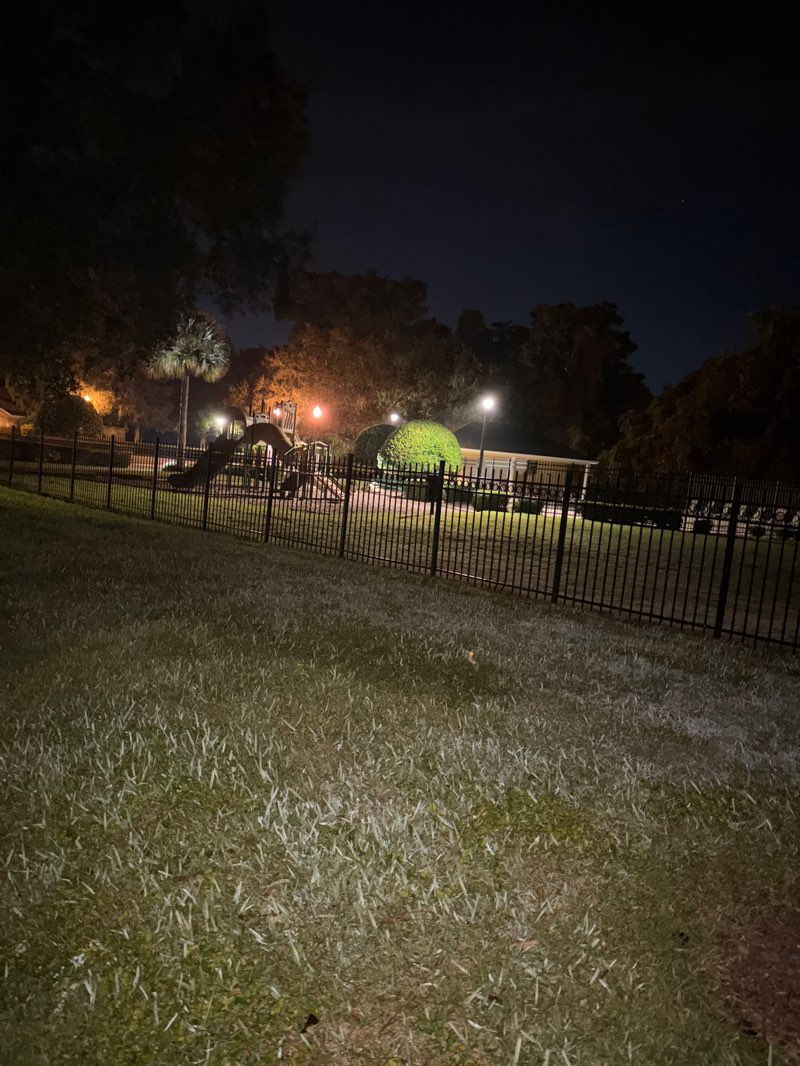 walking near me in Community Park in autumn