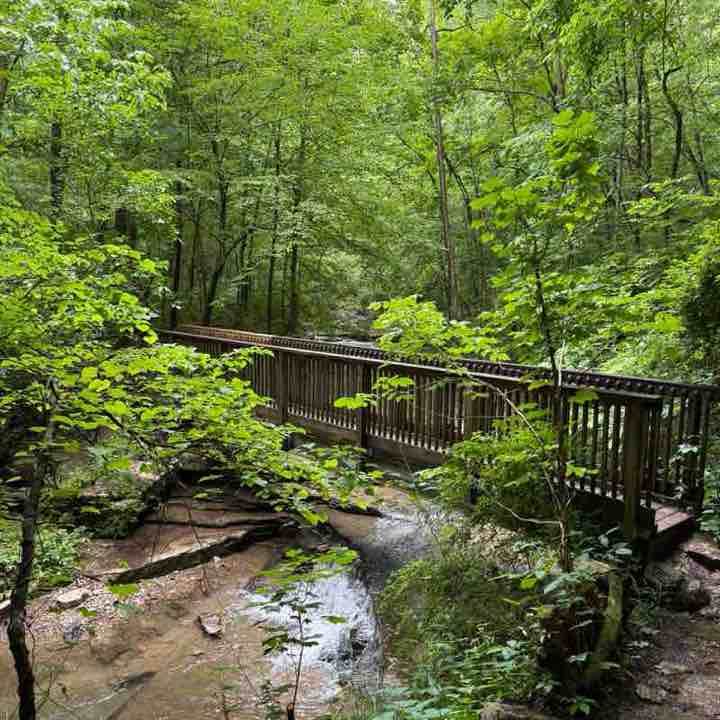 Melanie Harper post 1