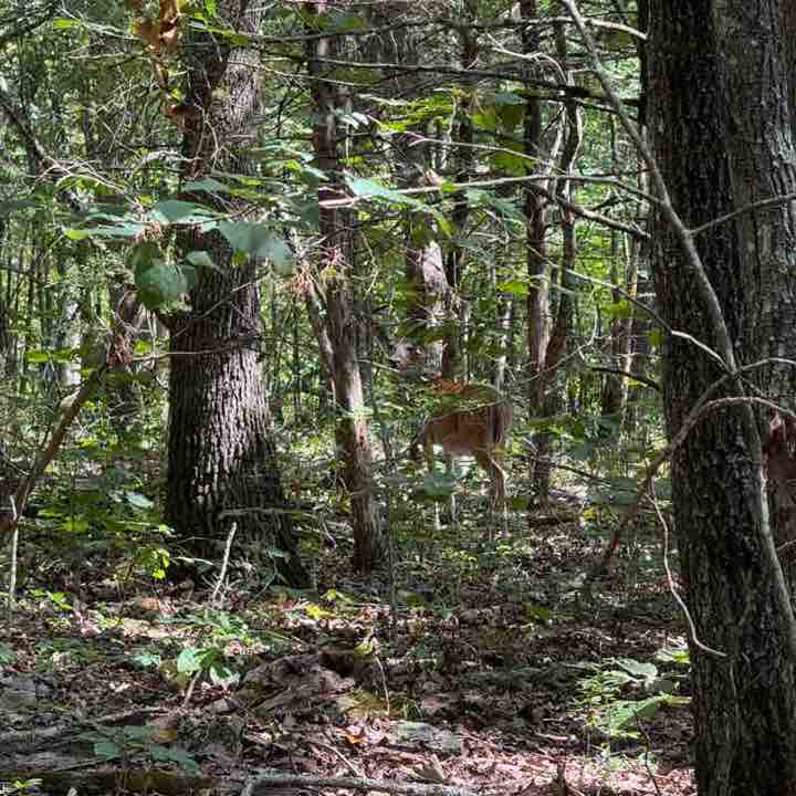 Melanie Harper post 1