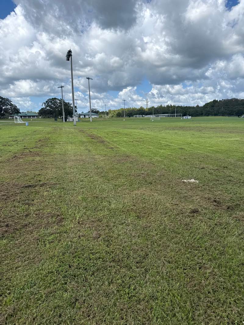 walking near me in Ed Radice Sports Complex in autumn