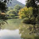 木雨田