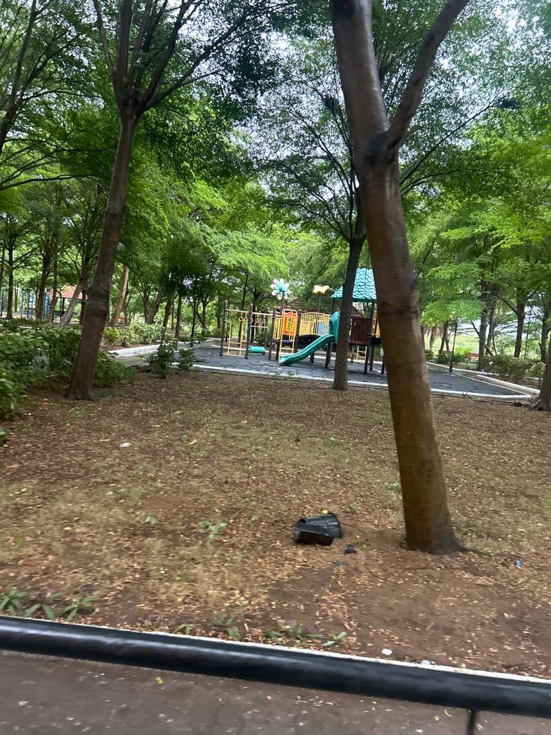 walking near me in Olympia Opaline Park Area in summer