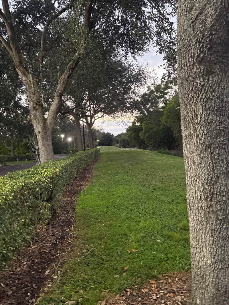 walking near me in Ralph Diaz Memorial Park in winter