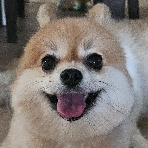 Cindy Sineepun HQ profile