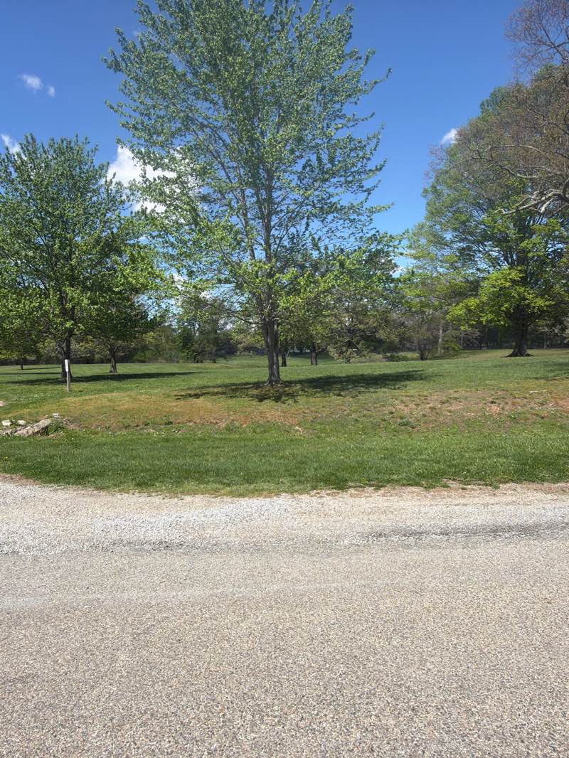 walking near me in Charley Brown Park in spring