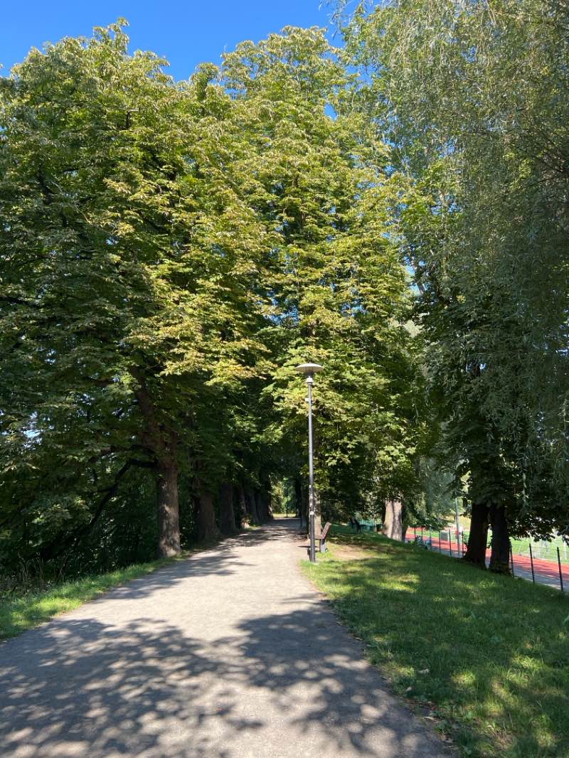 walking near me in Toompark in autumn