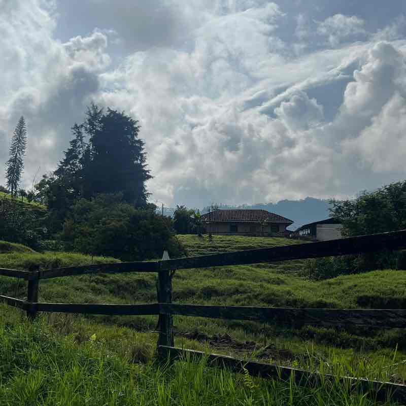 Gloria Rubiano post 2