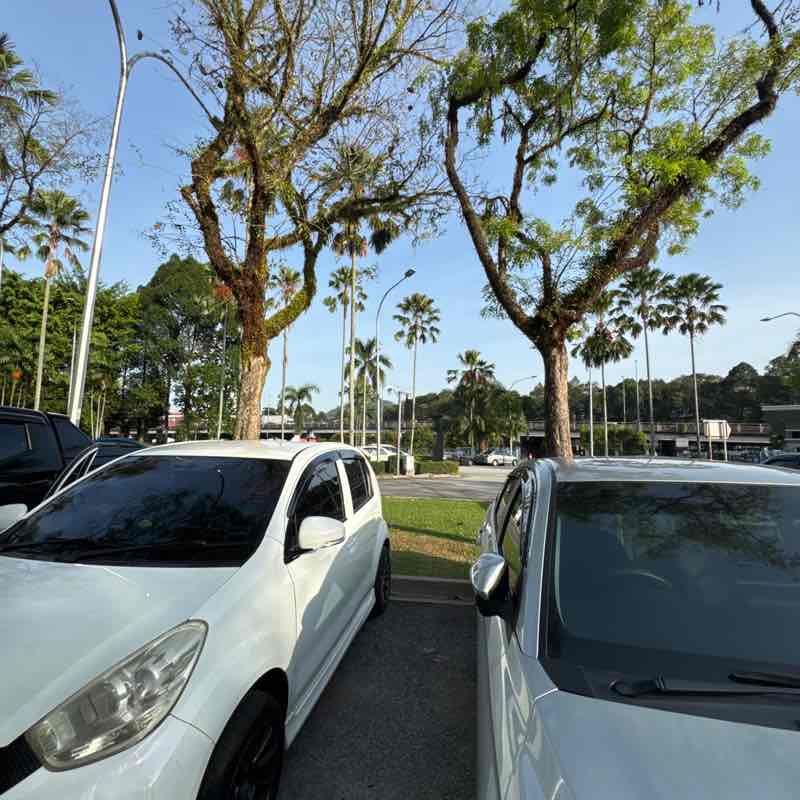 𝚂𝚄𝚂𝙸𝙻𝙰 post 1