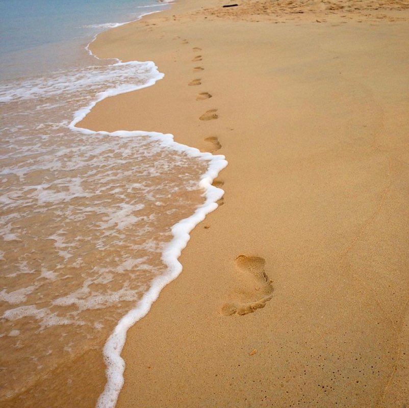 Анастасия Шаповалова profile