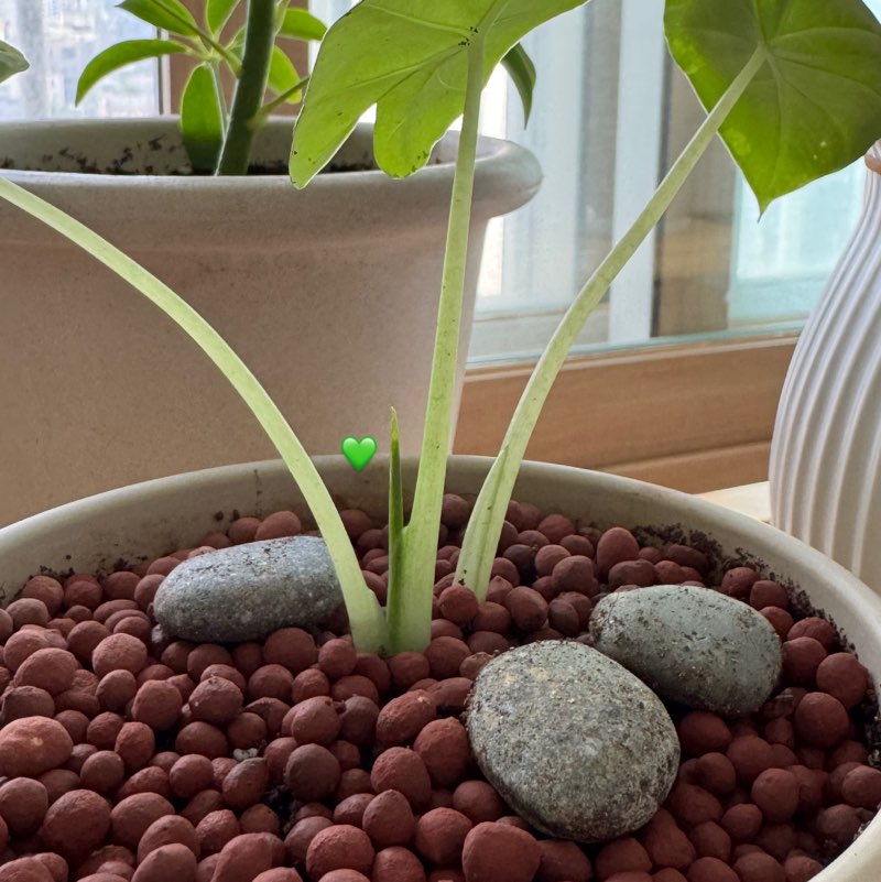 기후대기-은영 profile