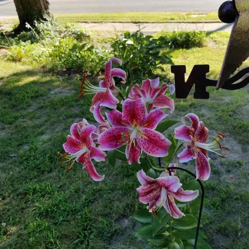 God Squad Kiora post image