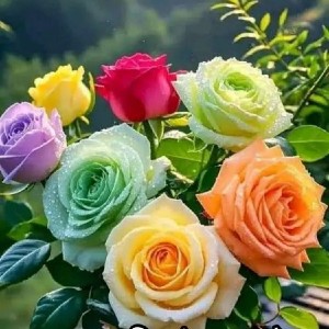 DrSKS 🇮🇳🇮🇳 profile