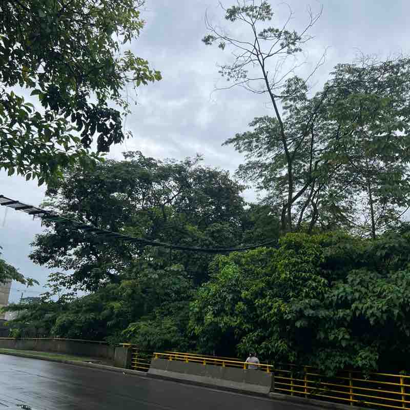 Andres Mauricio Lombo Moreno post 2