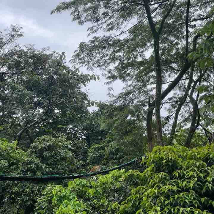 Andres Mauricio Lombo Moreno post 1