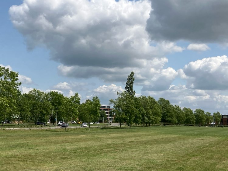 walking near me in Stroud Green in summer