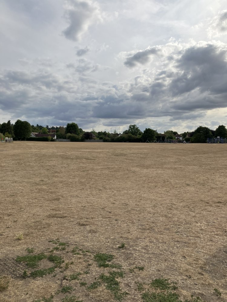 walking near me in City Recreation Ground in autumn