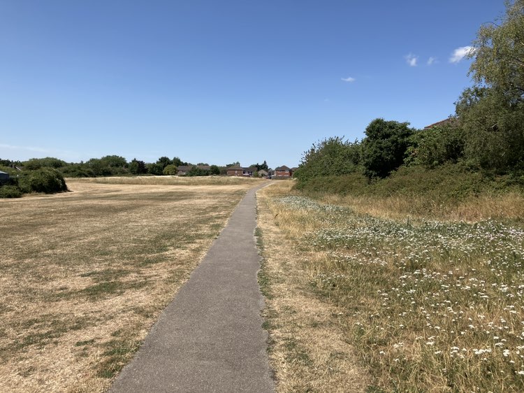 walking near me in Pound Lane Park in summer