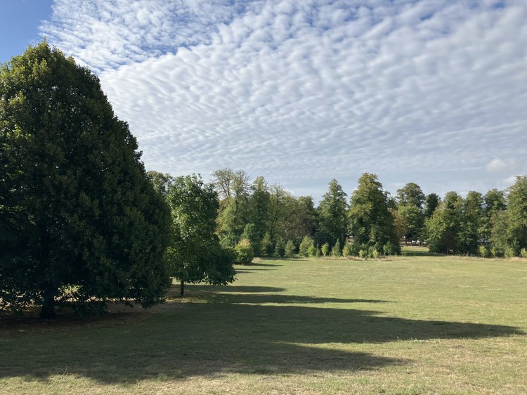 walking near me in Goldwell Park in autumn