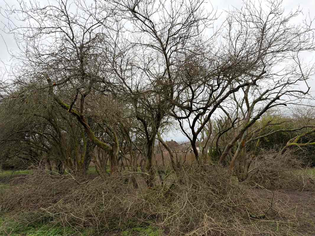 walking near me in City Recreation Ground in winter