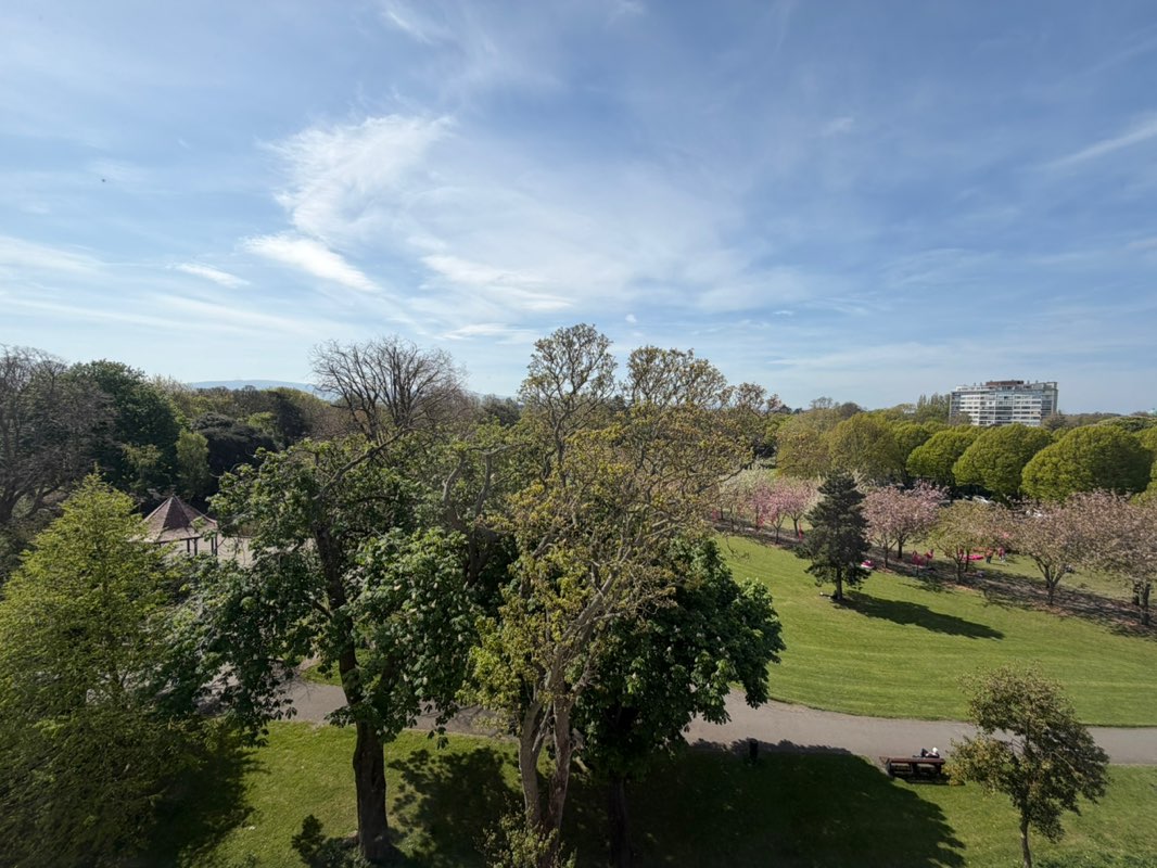 walking near me in Herbert Park in spring